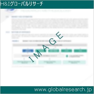 グローバルリサーチ調査レポートのイメージ